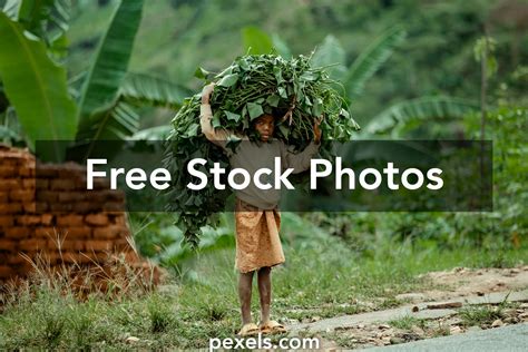 Image result for Sustainable Development Examples