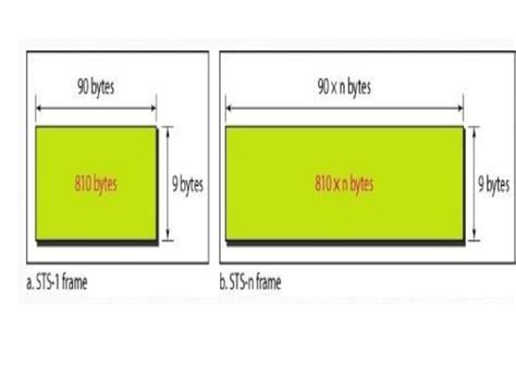 Sonet in Networking Explained 的图像结果