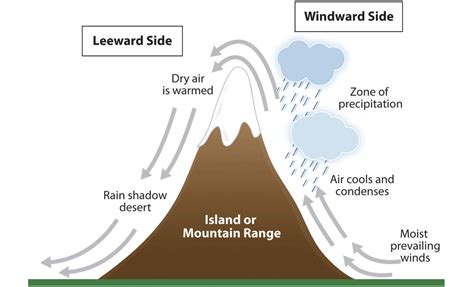 Leeward Side Of Mountain