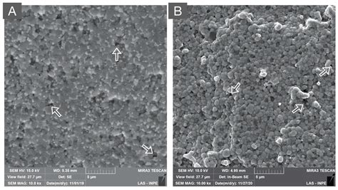 A Narrative Review on Polycrystalline Ceramics for Dental Applications ...
