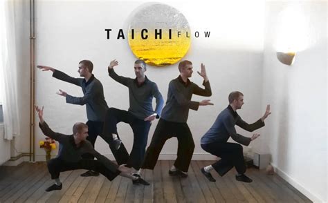 Tai Chi Flow Motion 的图像结果