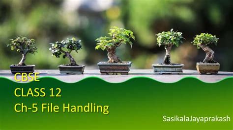 File Handling Class 12 CSV File Programs 的图像结果