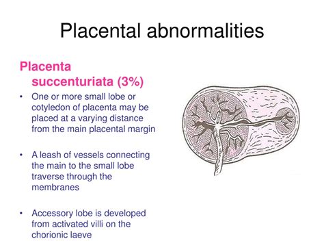 PPT - Understanding the Structure, Function, and Abnormalities of the ...