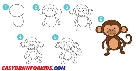 Image result for How to Draw a Simple Monkey