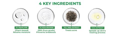 The Pink Foundry Acne Moisturiser I Treats & Prevents Breakout, Soothes ...