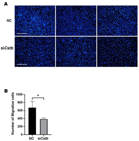 Expression and Regulation of a Novel Decidual Cells-Derived Estrogen ...