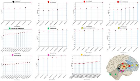Precision Autism: Genomic Stratification of Disorders Making Up the ...