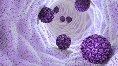 HPV: saiba tudo sobre esta doença silenciosa