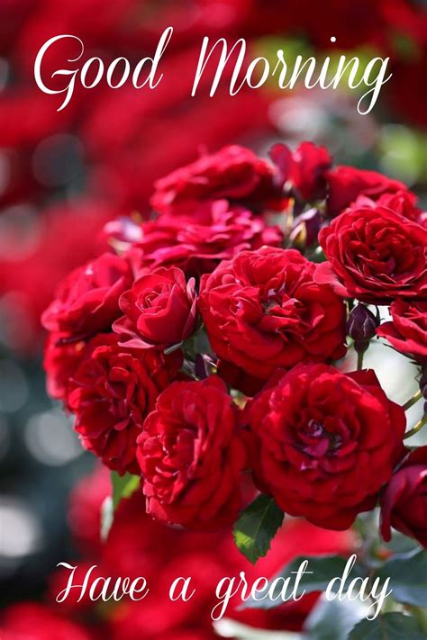 50 good morning happy monday images morning greetings – morning quotes ...