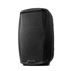 Gemini Sound As-2110P - Professional 1000 Watt Active 10 Loudspeaker ...