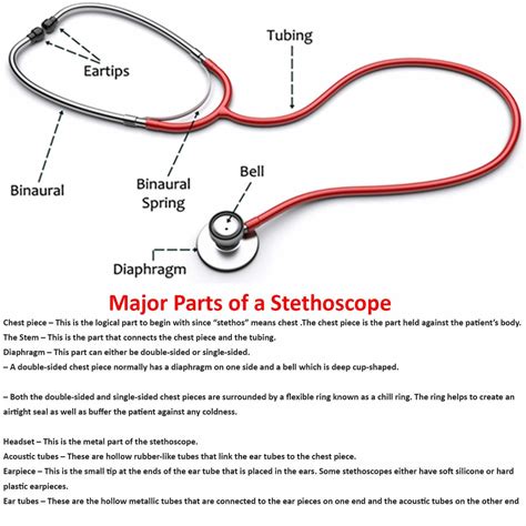 Stethoscope Diagram
