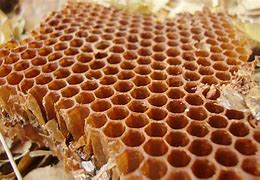 honeycomb 的图像结果