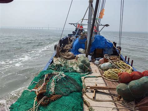 实拍百万级渔船外海捕鱼，渔民工作辛苦而且危险，好在收获挺喜人_哔哩哔哩_bilibili