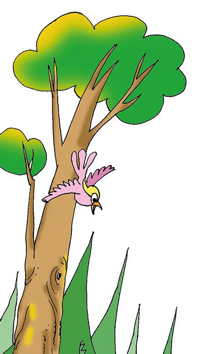 Dünyanın Akciğerleri: Ormanlarımız | Can Kardeş