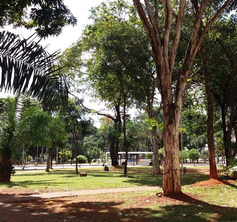 PRACA ALMIRANTE TAMANDARE (2026) All You Need to Know BEFORE You Go ...