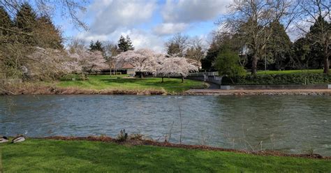 Tukwila Hotels from ₹ 6,317/night | Compare Best Hotels in Tukwila - KAYAK
