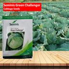 Seminis Green Challenger Cabbage Seeds - 10 GM – Agriplex