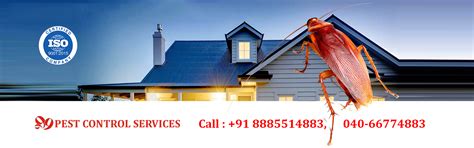 Best Pest Control Services Hyderabad - 999 Pest Control Services | Call ...