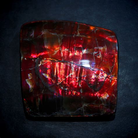 Amber Module Review 的图像结果