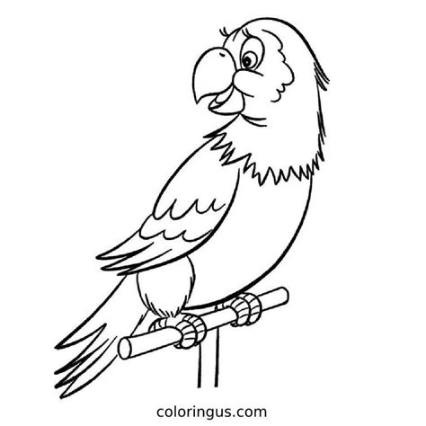 Image result for Parrot Coloring Pages