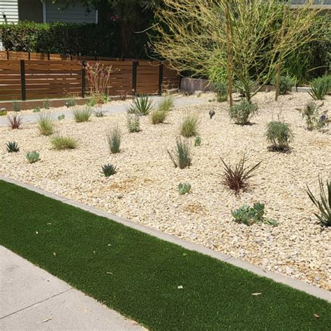 Drought Resistance Front Lawns How To Kill Your Lawn Amid This Drought