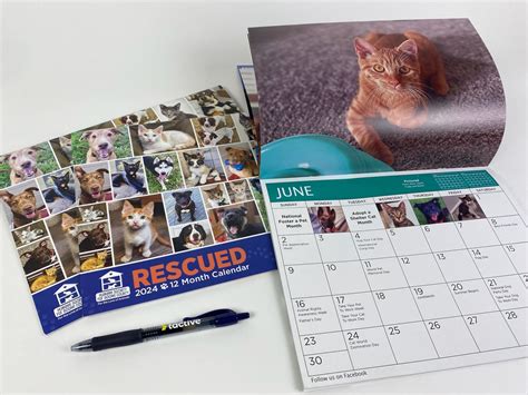 Project Spotlight: Humane Society for Boone County 2024 Calendar