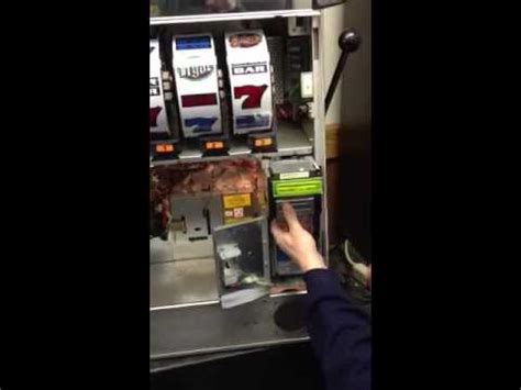 indslots technical support,In the ever-evolving landscape of gaming