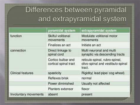 Image result for Extrapyramidal System
