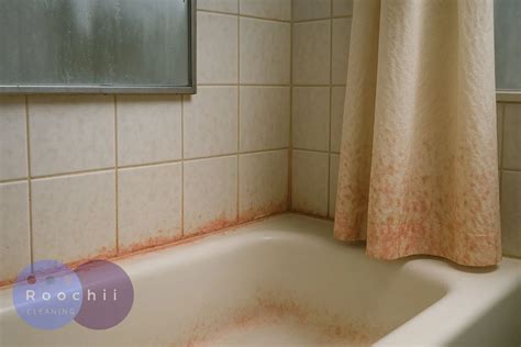 Bathroom Mold Vs Mildew