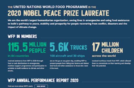 World Food Programme (WFP) - International Relations (IR) Notes