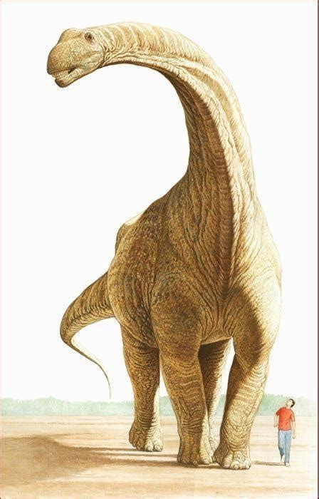 最大恐龙和最小恐龙在一起对比 原来相差这么多_化石