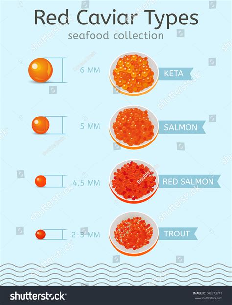 1,963 Caviar Types Images, Stock Photos & Vectors | Shutterstock