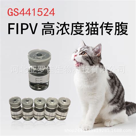 441猫传腹 工厂直销 fipv 猫传腹-阿里巴巴