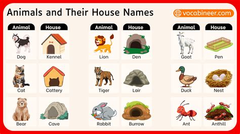 List of Animals and Their Homes Names with Pictures
