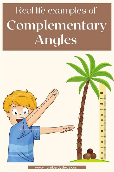 Image result for Real-World Examples of Complementary Angles