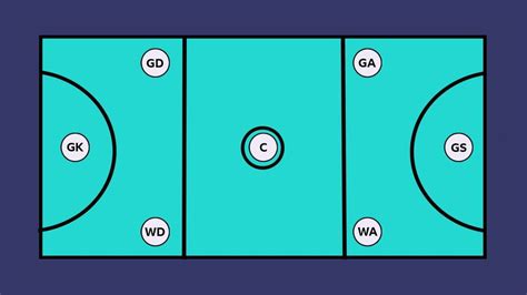 Netball Position 的图像结果