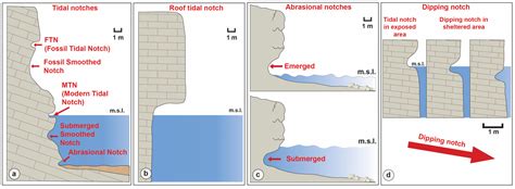 Dipping Tidal Notch (DTN): Exposed vs. Sheltered Morphometry