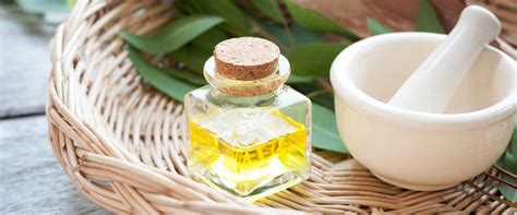 Inhalation 的图像结果