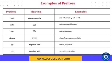 50 Examples of Prefixes with meaning - Word Coach