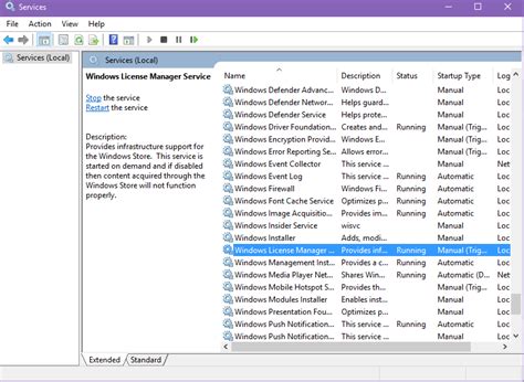 License Manager Windows License Manager Service 的图像结果