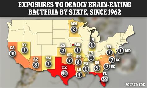 BrainEating Amoeba: Summers Hidden Threat