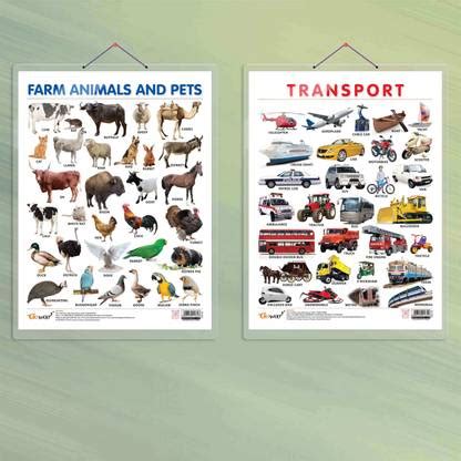 FARM ANIMALS AND PETS CHART HARD LAMINATED and TRANSPORT CHART HARD ...