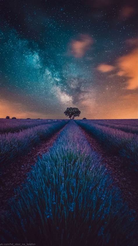 #wallpaper #wallpaperforyourphone #wallpaperwednesday #wallpaperengine #iphonecase #iphonewall… | Beautiful nature pictures, Nature photography, Landscape wallpaper