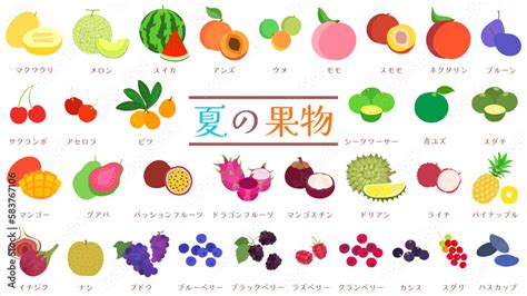 Image result for Animation Coding Program for Students