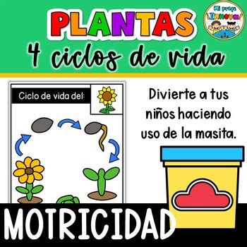 Plant life cycle in spanish Play Dough - Ciclo de las plantas ...