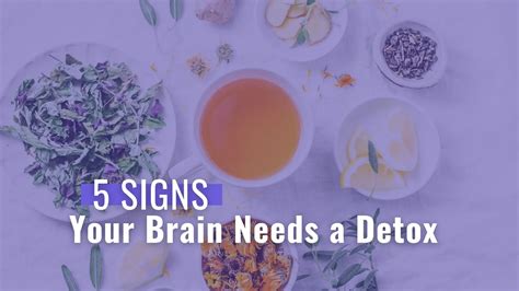 5 Signs You Need A Brain Detox - Dr. Nicole Cain, ND, MA