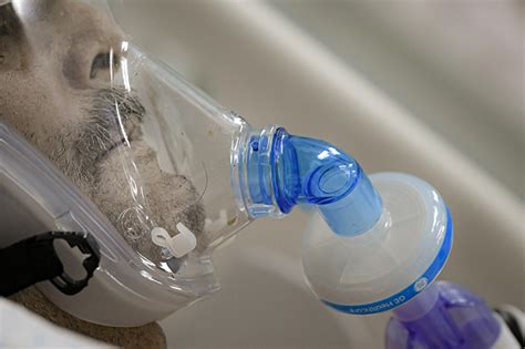 Avoid Steroids, Get Tested If Cough Persists: Here Are The New COVID ...