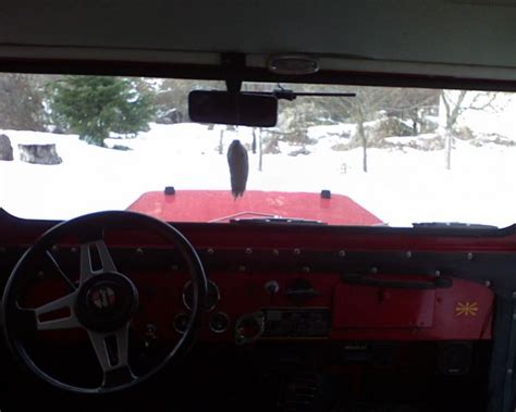 Image result for CJ4 Tutorial Direct GPS