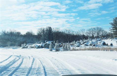 Carpenter Lake: Southfield’s Wildland Gem – Oakland County Blog