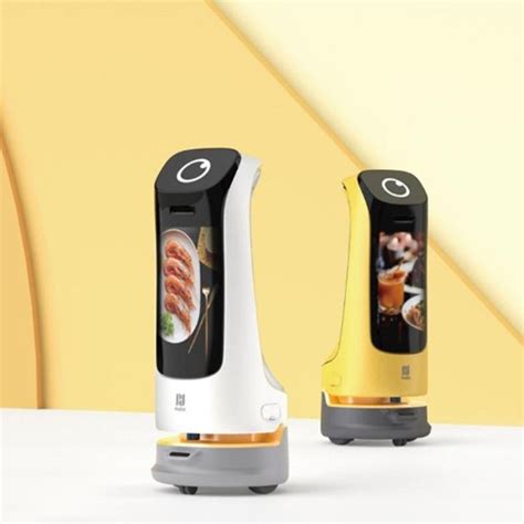 Service Robot 的图像结果